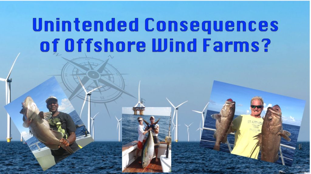 Offshore Wind Farm Fishing