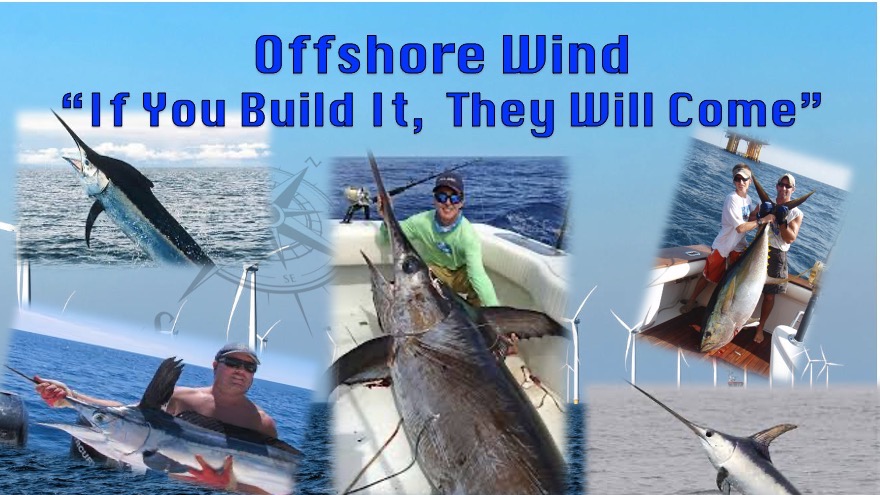 Sportfishing on Offshore Wind